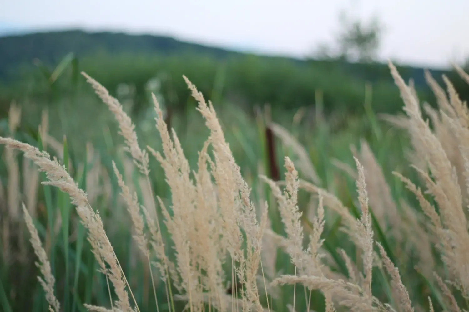 Étudiants de l'IUDI discutant sur le campus, illustrant un environnement d'apprentissage collaboratif